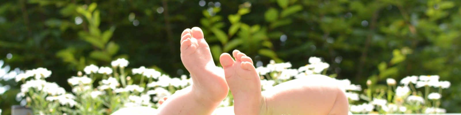 201904 Familienhebamme Banner